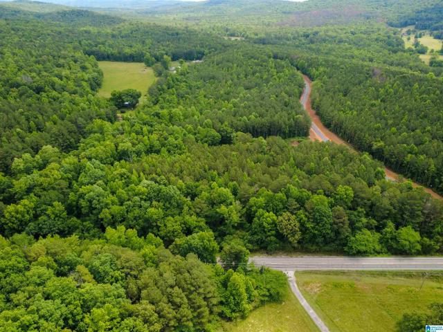 Land for sale in Odenville, St. Clair County