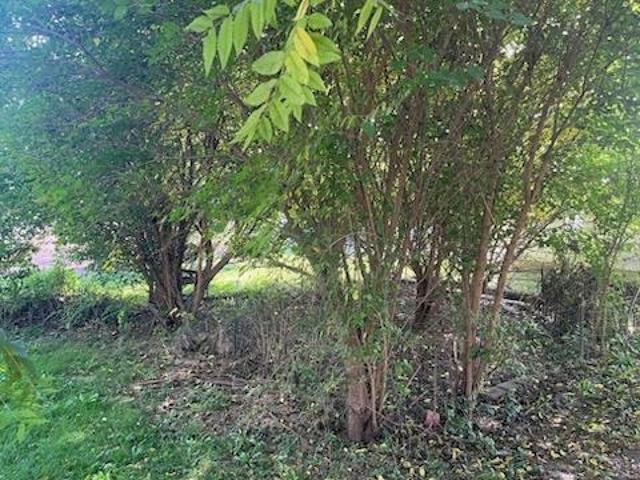 Land for sale in Blanchardville, Wisconsin