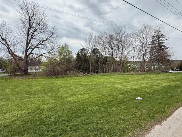 Land for sale in Dansville, New York