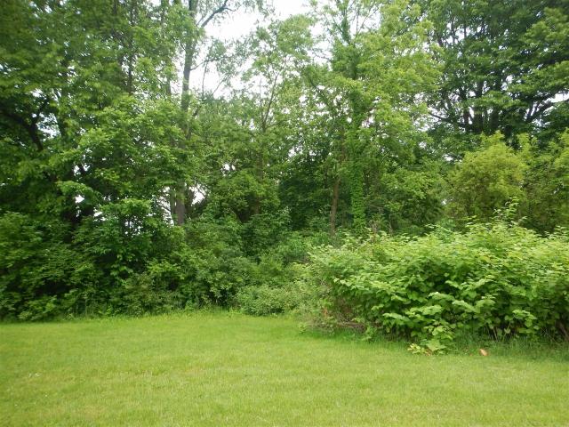 Land for sale in Michigan