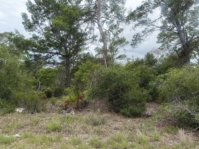 Land for sale in Lake Placid, Florida