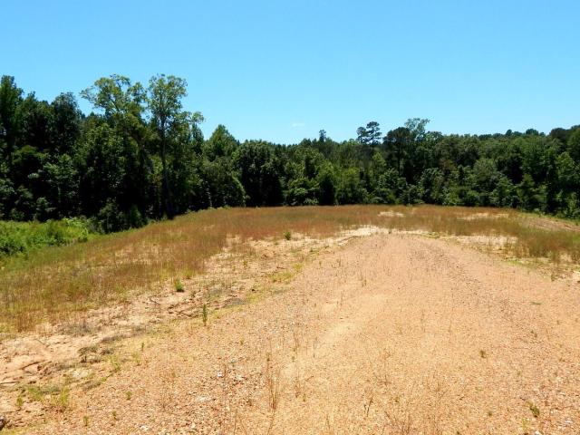 Land for sale in Grenada, Mississippi