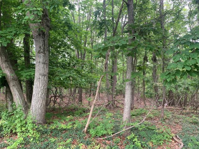 Land for sale in Centereach, New York
