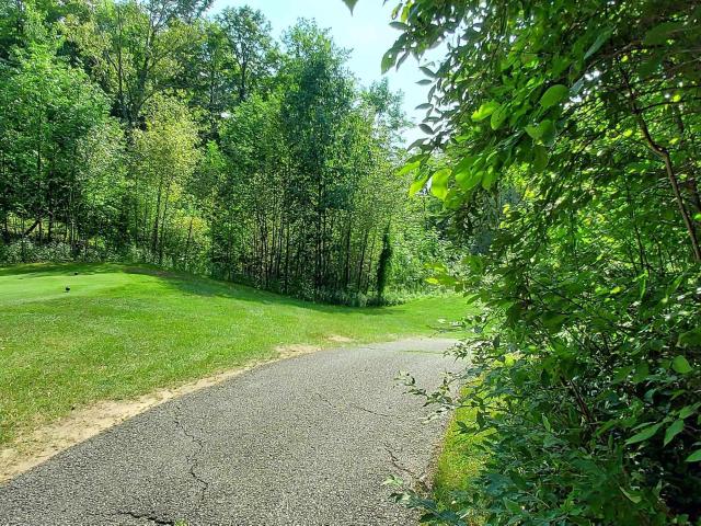 Land for sale in Michigan