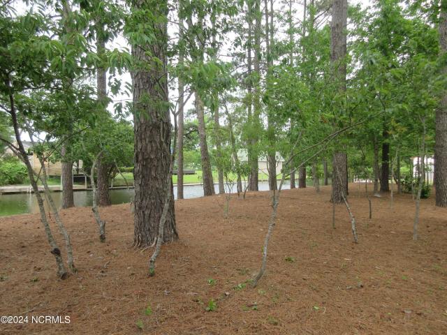 Land for sale in Grandy, North Carolina