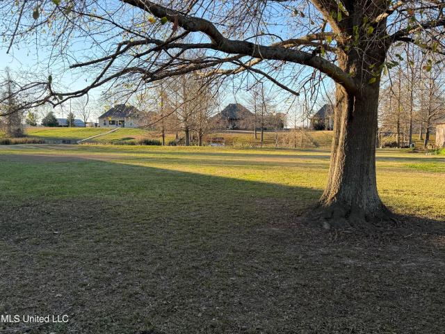 Land for sale in Ferriday, Louisiana