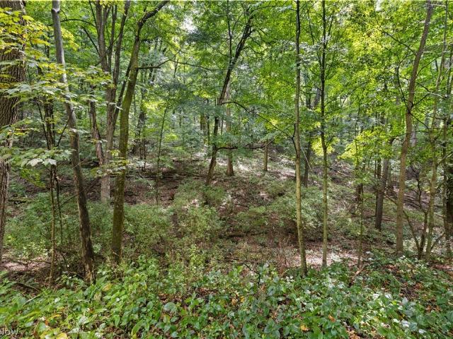 House for sale in Bellville, Ohio