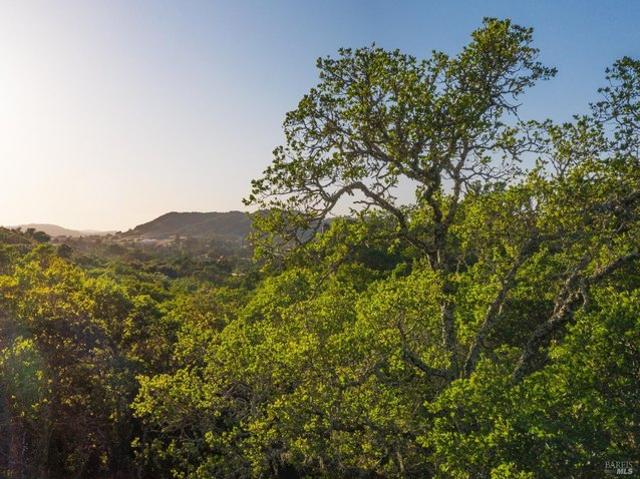 Land for sale in Healdsburg, Sonoma County