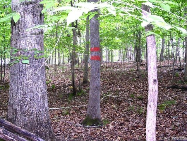 Land for sale in Virginia