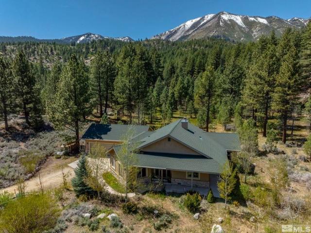 House for sale in Washoe Valley