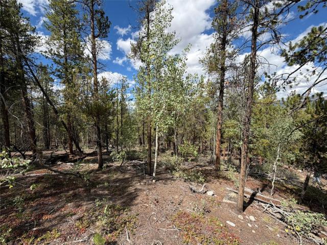 Land for sale in Twin Lakes, Lake County