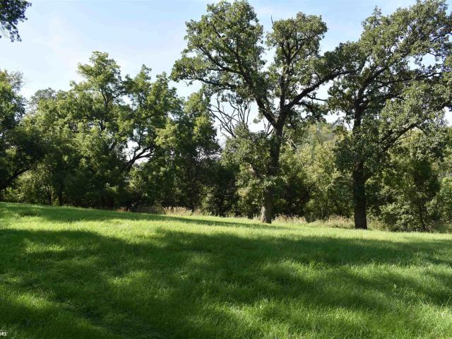Land for sale in Iowa Falls, Iowa
