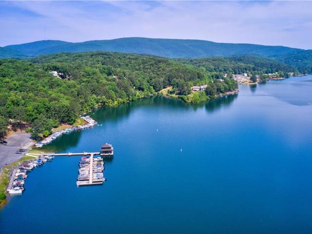 Land for sale in Waleska, Georgia
