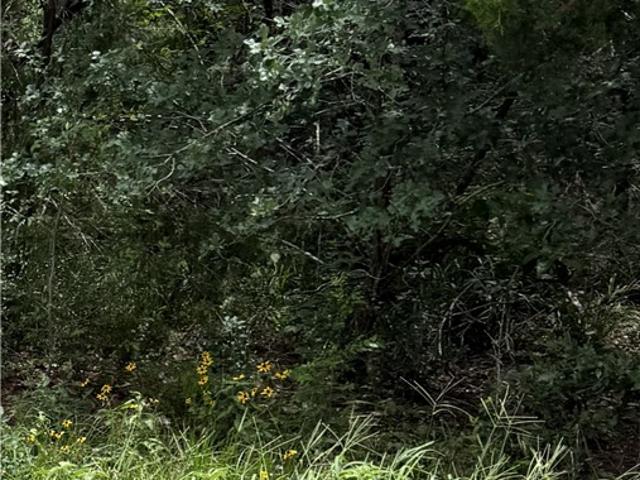 Land for sale in Somerville, Texas