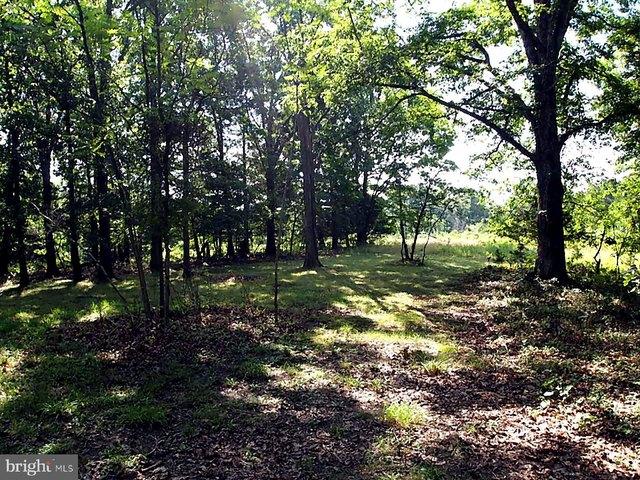 Land for sale in Virginia
