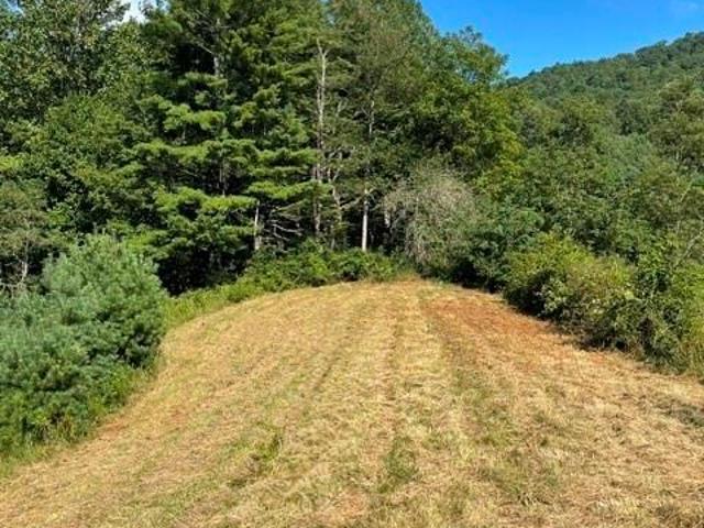 Land for sale in Marshall, North Carolina