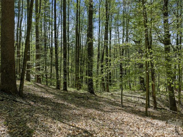 Land for sale in Yancey, North Carolina
