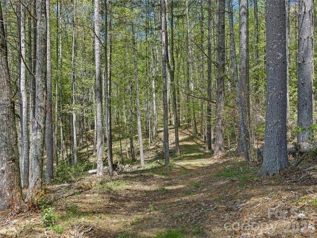 Land for sale in Yancey, North Carolina