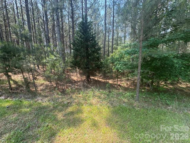 Land for sale in Mooresboro, North Carolina