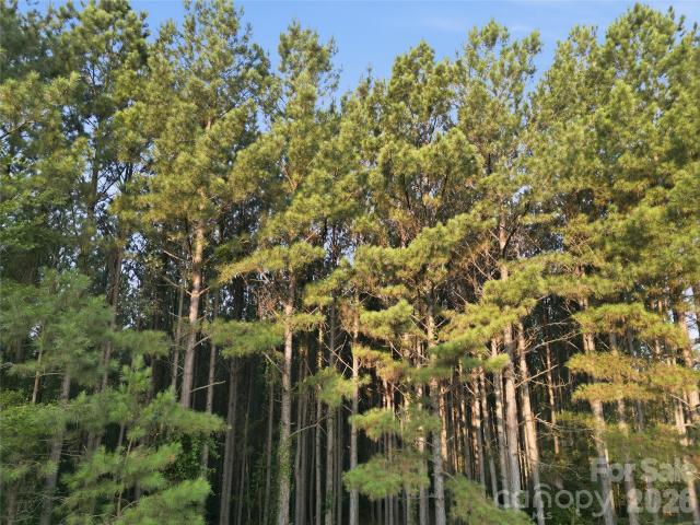 Land for sale in Mooresboro, North Carolina