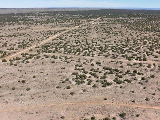 Land for sale in Sanders, Arizona