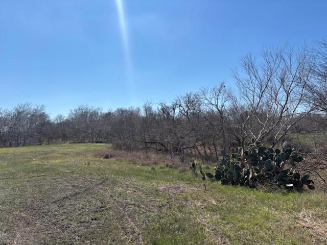 Land for sale in Dinero, Texas