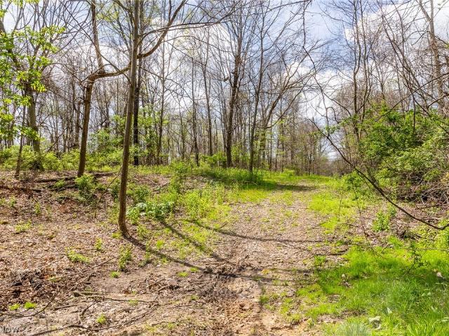 Land for sale in Mansfield, Ohio