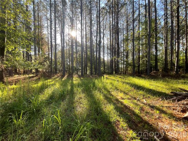 Land for sale in Mooresboro, North Carolina