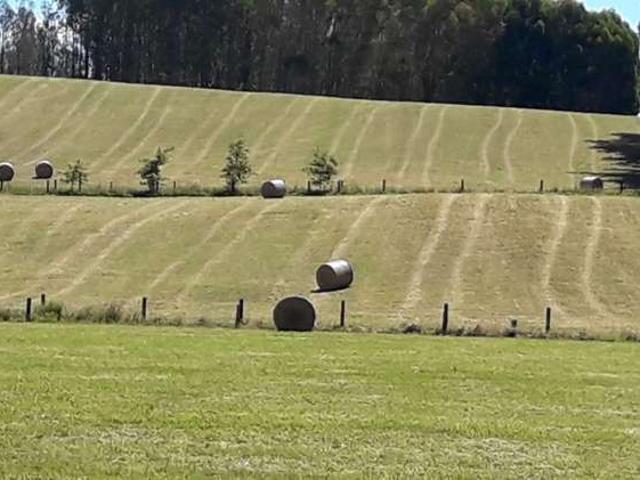 Property for sale in Ngahinapouri, Waikato