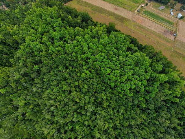 Land for sale in Brooklet, Georgia