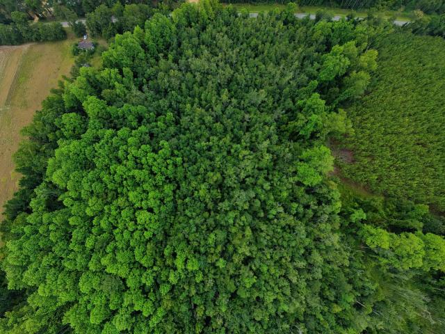 House for sale in Stilson, Brooklet