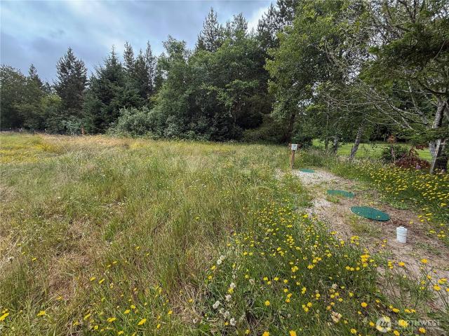 Land for sale in Long Beach, Washington
