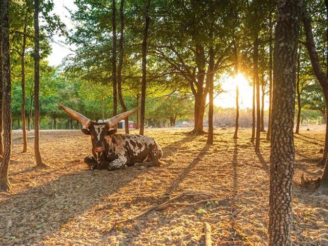 House for sale in Okemah, Oklahoma