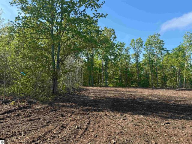Land for sale in Michigan