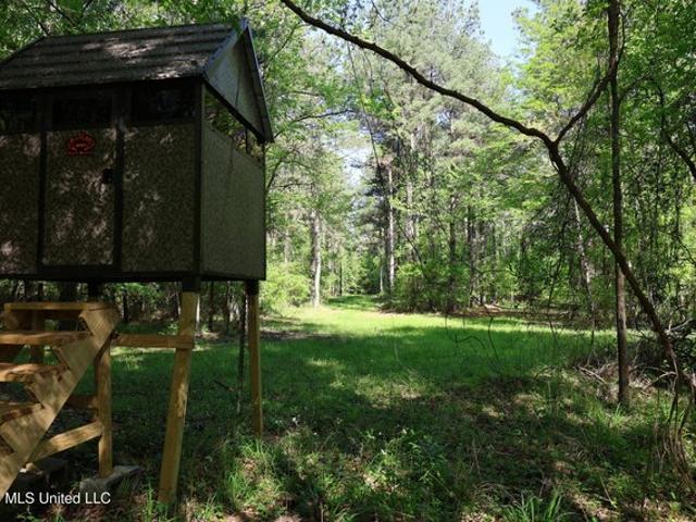 Land for sale in Port Gibson, Mississippi
