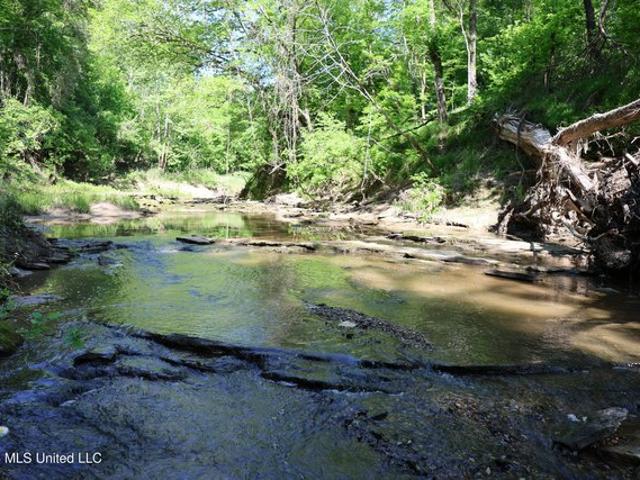 Land for sale in Port Gibson, Mississippi
