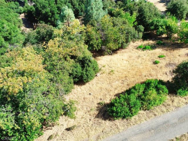 Land for sale in Kelseyville