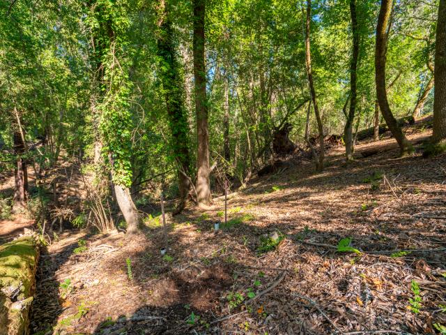Land for sale in Forestville, California