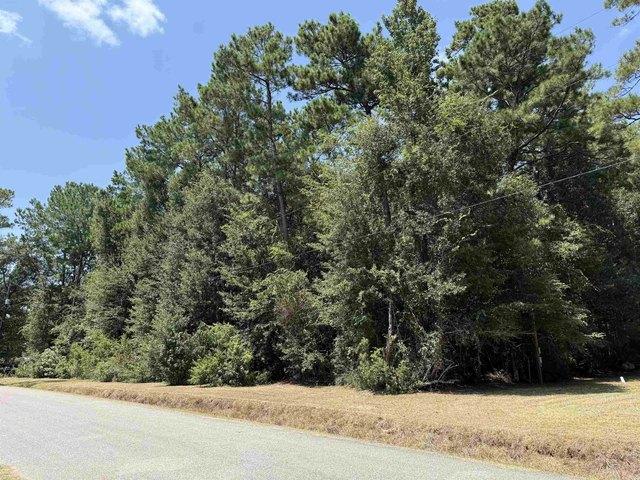 Land for sale in Lumberton, Texas