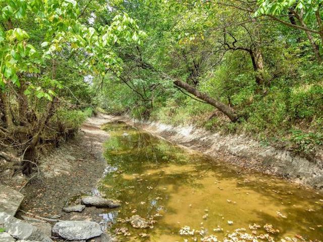 Farm for sale in Blue Ridge, Texas