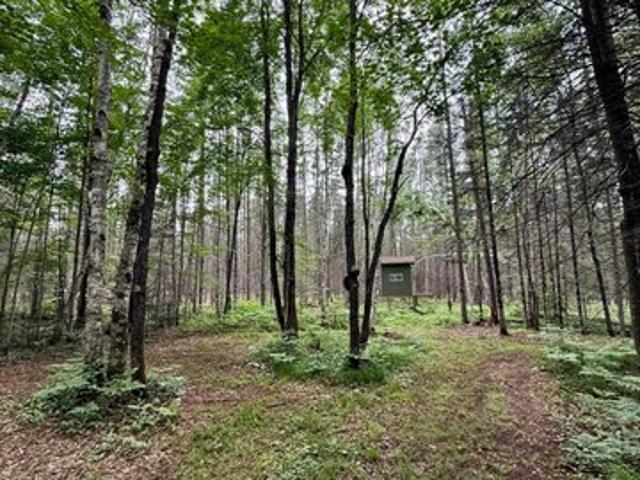 Land for sale in Crandon, Wisconsin