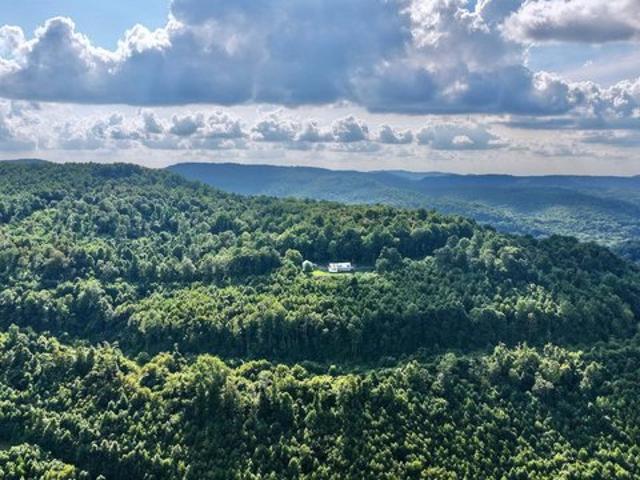 House for sale in Leivasy, West Virginia