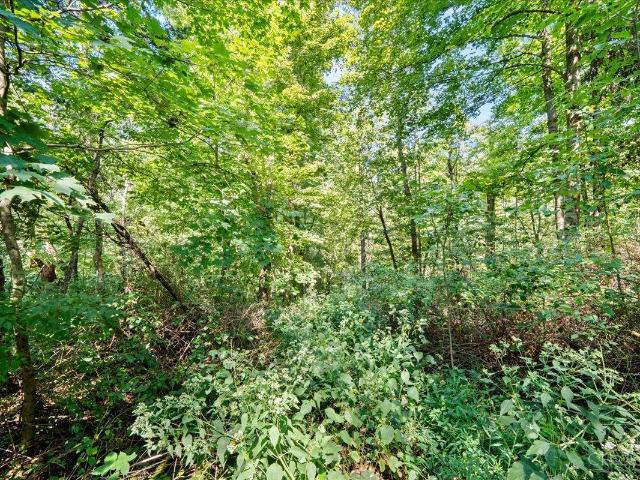 Land for sale in Seaman, Ohio