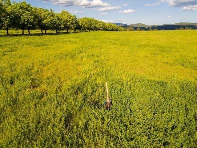 Land for sale in Mead, Washington