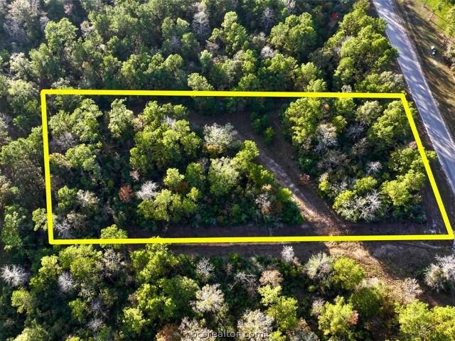 Land for sale in Willis, Texas
