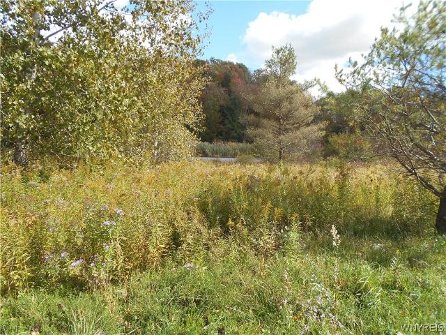 Land for sale in Town of Yorkshire, Cattaraugus County
