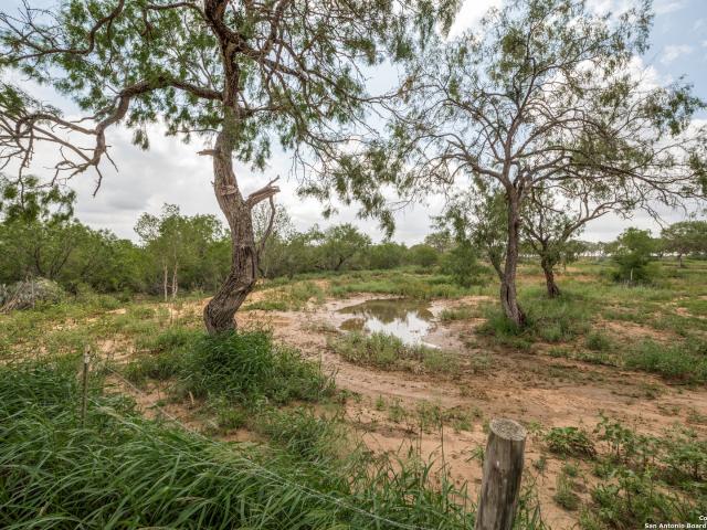 Land for sale in Wilson, Texas