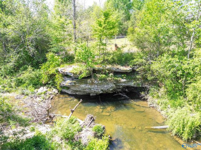 House for sale in Rainsville, Alabama