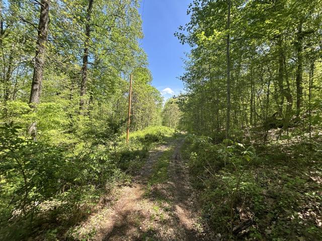 House for sale in White Bluff