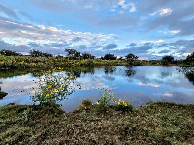 Farm for sale in Telegraph, Kimble County